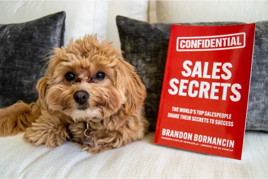 a small pup dog with a copy of the book Sales Secrets